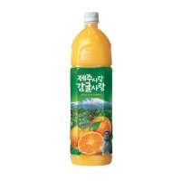 롯데칠성음료 롯데 제주사랑 감귤사랑 1.5L