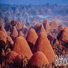 필리핀 보홀직항 3박5일, 헤난/팡라오 리조트, 오션뷰, 발리카삭호핑, 보홀데이투어 보홀전문 모두투어, 보홀 패키지