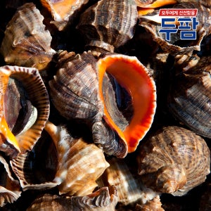 자연산 뿔소라 참소라 삐뚤이 소라 1kg