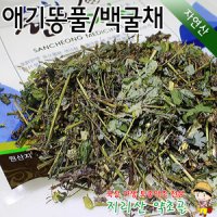 자연산 애기똥풀 (특품) 300g 백굴채,100%국내산,야생,건조,말린,효능,효과,지리산