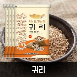 (신선집중) 삼원농산 귀리 20kg (5kg/4개) - 2024년 캐나다산
