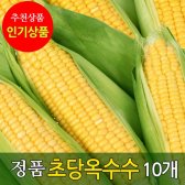 초당옥수수 정품 10개