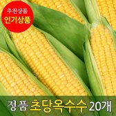 초당옥수수 정품 20개