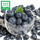 푸르젠 18년산 무농약 순창 냉동 블루베리 5kg (상품/13mm~18mm이하)