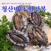 [청산바다]활전복 1kg내외 18~22미