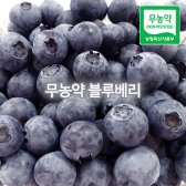 무농약 생블루베리 1kg (와룡선생농원)