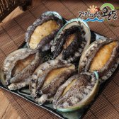 청정수산 완도직송 청산도 참전복 1kg(10-11미)