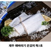 애니-제주 해바라기 은갈치 특3호(팩당 500g x 4팩) 깨끗한 해역 제주도에서 건강하게 자란 맛있는 은갈치-(480006)