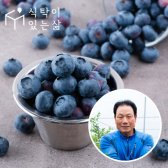 [식탁이있는삶] 천안 무농약 (生)블루베리 1kg(500g2팩)