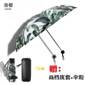 초경량 접이식 미니 양산 우산 작은 신선한 TM000033326