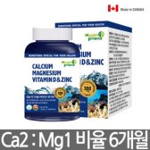 캐나다정품 칼슘 마그네슘 비타민D 아연 영양제
