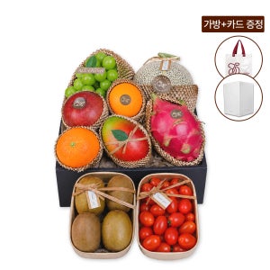 프리미엄 과일선물세트 친환경포장 4호 10종 (멜론,샤인머스켓 외) 4.8kg이상 올프레쉬