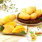 Sweety Mango 필리핀 열대과일 카라바오 망고 1.2kg/6과/eia26737