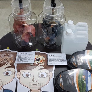 흡연예방교육용품-정상폐,흡연폐비교(실제 돼지폐가공)ㅣ금연교육용품