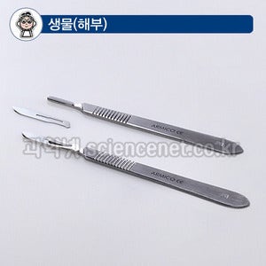 해부칼 (메스대+메스날)  /옵션선택