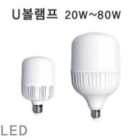 LED보안등 U볼램프 20~80W