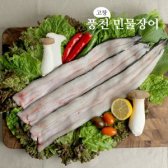 [산지직송]고창 풍천 민물장어 자포니카품종 1kg