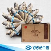 [수협正品] 영광굴비 1.3kg(20미)