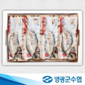 [영광군수협]몸愛좋은 국내산 영광굴비 20미 진공팩 (1.4㎏이상)