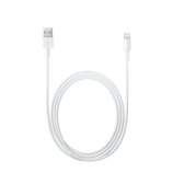 Apple Lightning USB Cable 1m /애플 정품 케이블 1m