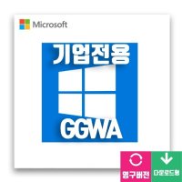 마이크로소프트 windows 11 pro ggwa 라이선스