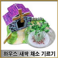 하우스 새싹 채소 기르기 5인용