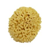 Swissco Sea Wool Natural Bath Sponge 4 Inches by