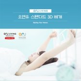 오앤유 쑥잠 스텐다드 3D 베개 1p