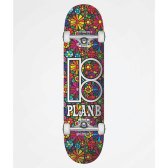 PLAN B PLAN B Plan B Easy Sliders 7.75" Skateboard Complete