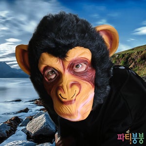 침팬지가면 /동물가면 가면제작 가면 동물탈 할로윈가면 얼굴가면 파티가면 할로윈가면 할