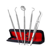 5Pcs/Pack Professional Stainless Steel Dental Tool Teeth Whitening Oral?Deep Cleaning Care Kit(