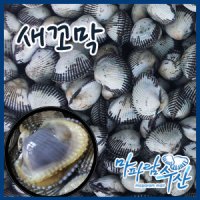 벌교여자만 새꼬막(상)2kg