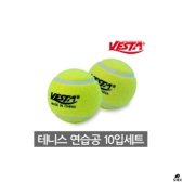 [무배]테니스 연습공 10입 DM-A055204