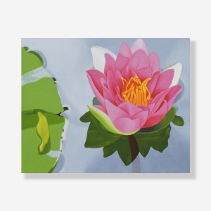 분홍 연꽃 / 에릭 블로어