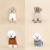 강아지겨울옷 올인원 투스투스