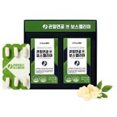 프롬바이오 관절연골엔 보스웰리아 850mg x 30정 x 2개입