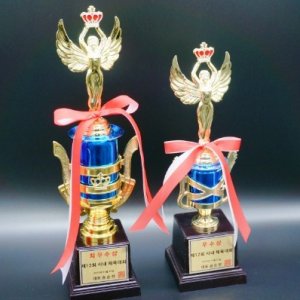 연주회 트로피 소량 제작 기념 유도 학교 태권도 축구 야구 배구 농구 줄넘기 테니스 검도 마라톤 바둑 배드민턴 탁구 교회 수영 발레 댄스 음악회 대회 행사 단체용 여신상
