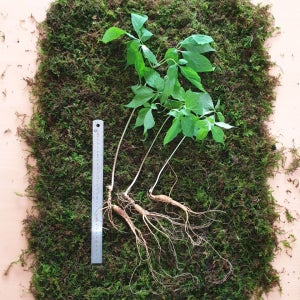 광고 메인 이미지