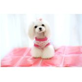 라온텐 애견 쿨매트 COOL 젤