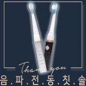 GV일렉트로닉스 V일렉트로닉스 pv-300