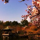 하코네 2박3일 일본 패키지 여행 모리노유 온천욕 보단체