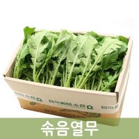 두리반농산 솎음열무  4kg  1박스