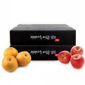 정직한 사과 3kg 12과내+나주 배3kg 6과내