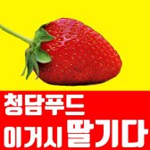 담양 딸기 오늘도착 최상급만 선별