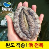 [선물세트] 완도 특대복 활전복 7-8미 1kg +금보자기