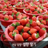 장대천님의 담양 딸기 설향 2kg 특/특대