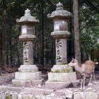 일본 패키지여행 하나투어 오사카가족여행 3박4일 객실업그레이드 시내관광
