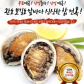 완도보길도 활 전복9-10미1kg