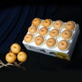 [산지직송]나주 신고배 선물세트 7.5kg