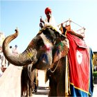 동남아 인도 패키지여행 8박9일 커플여행상품 온천전문여행사 여행상품 해외여행사